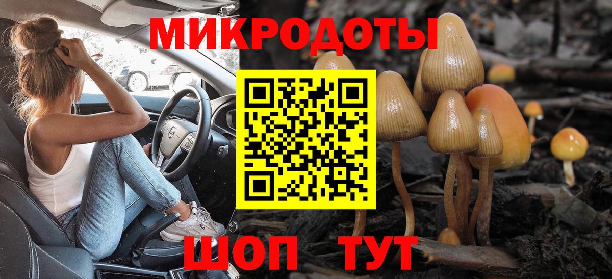 Галлюциногенные грибы Psilocybine cubensis Учалы